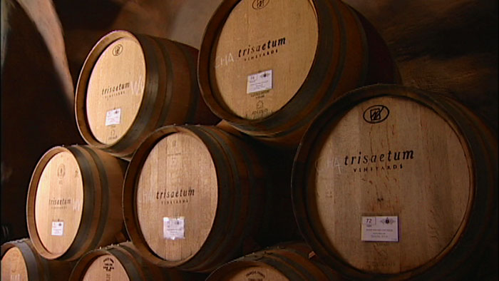 Wine Barrels from Barrel Works Plant