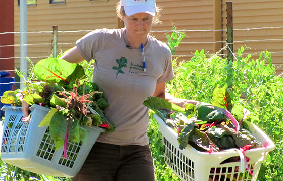 Urban Farmer in the City- Amanda Morse