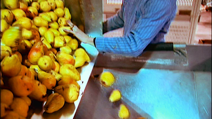 Eau De Vie Fresh Oregon Pears