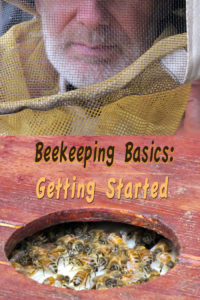 Beekeeping Basics: Getting Started