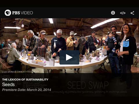 Sustainability Lexicon Explores Seed Banks, Seed Swaps and “Seed Sovereignty” Issues