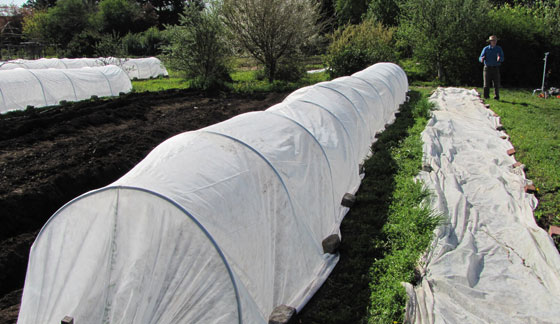 Row Cover Fabric. OSU's Extension Service Learning Gardens Laboratory, Portland, Oregon.