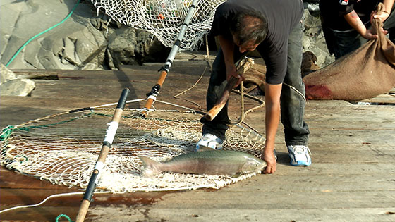 Traditional Dip Net Fishing: The Yakama Nation Tribe