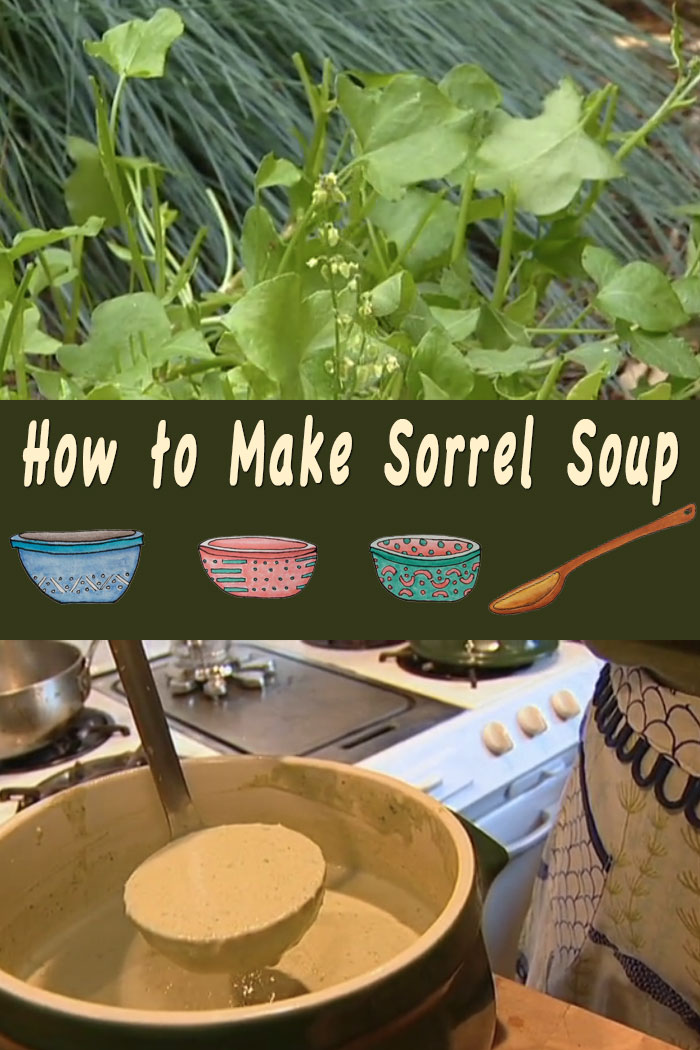 How to make Sorrel Soup video
