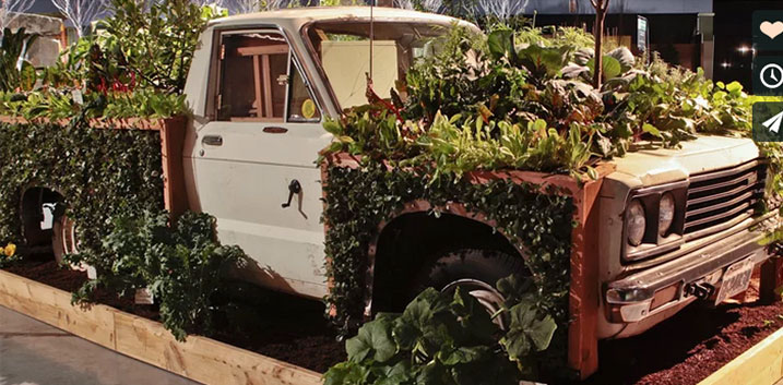 Transforming An Old Truck Into an Edible Garden