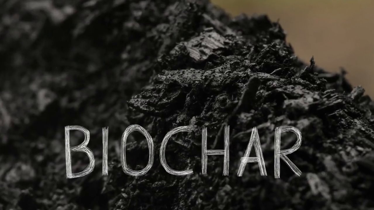 What is Biochar?