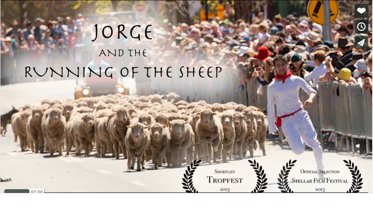 Jorge and the Running Of The Sheep In Boorowa