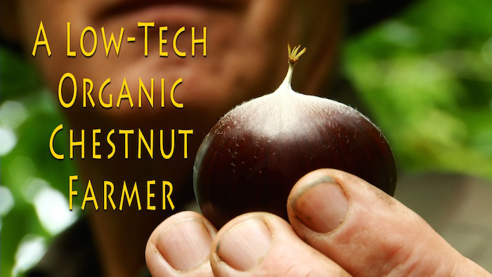 A Low-Tech Organic Chestnut Farmer