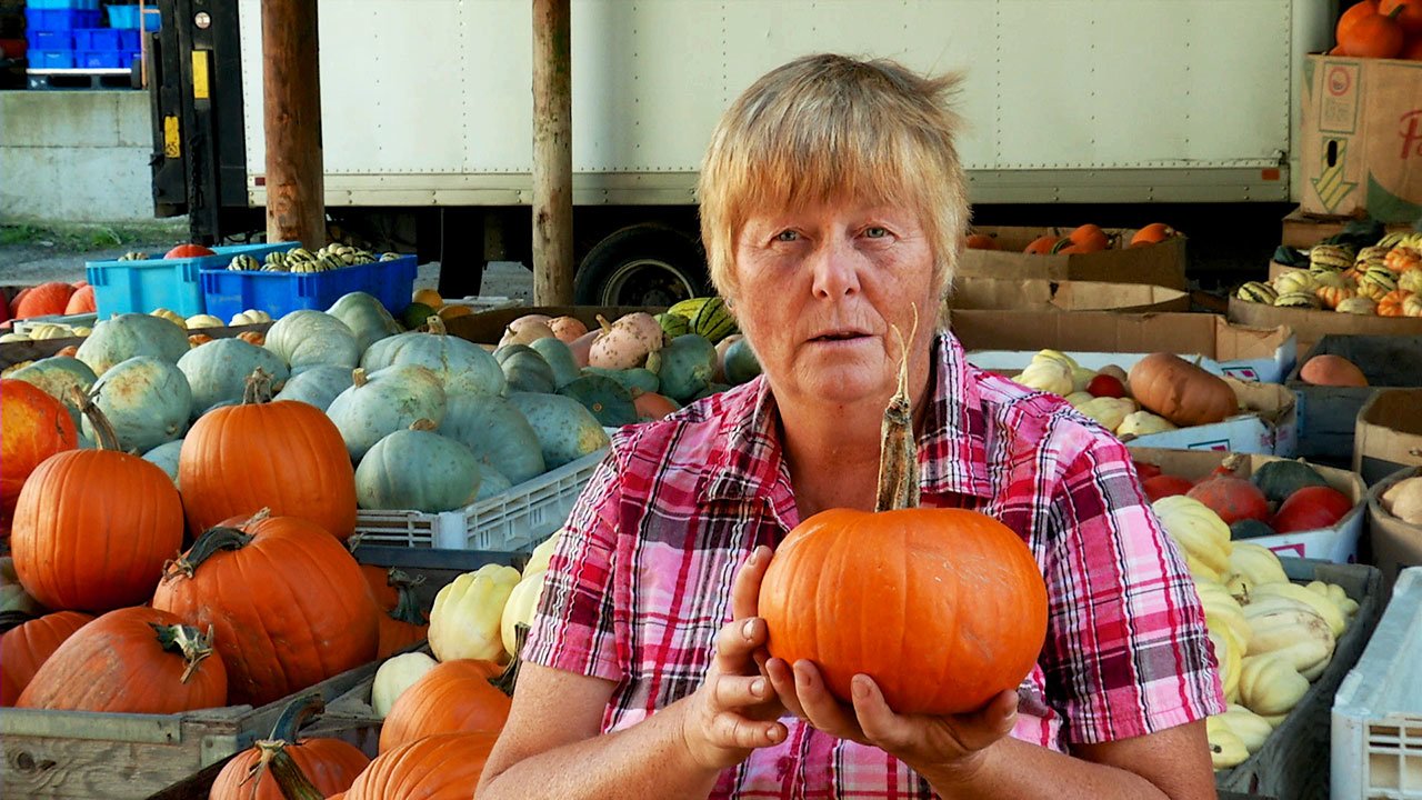 The Remarkable World of Winter Squash and Pumpkins