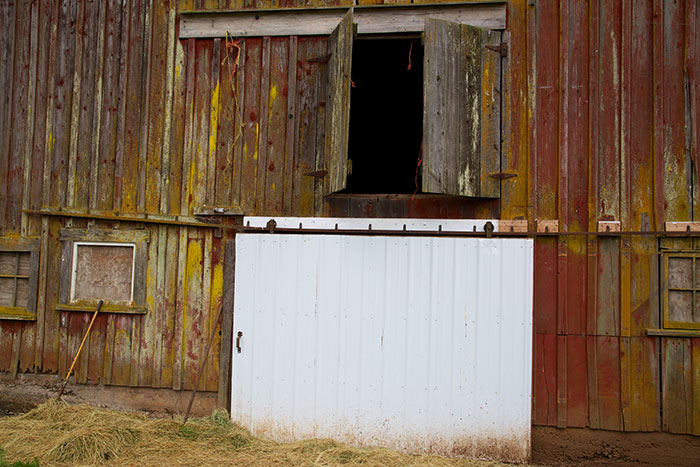 Side of Old Barn- Boondockers Farm