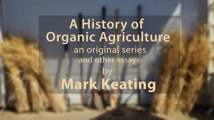 The Mark Keating Collection of Essays