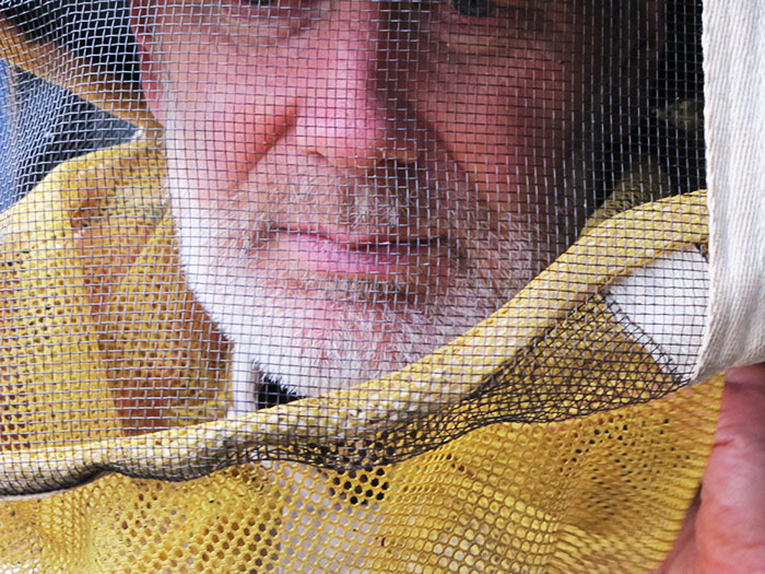 Beekeeper Basics