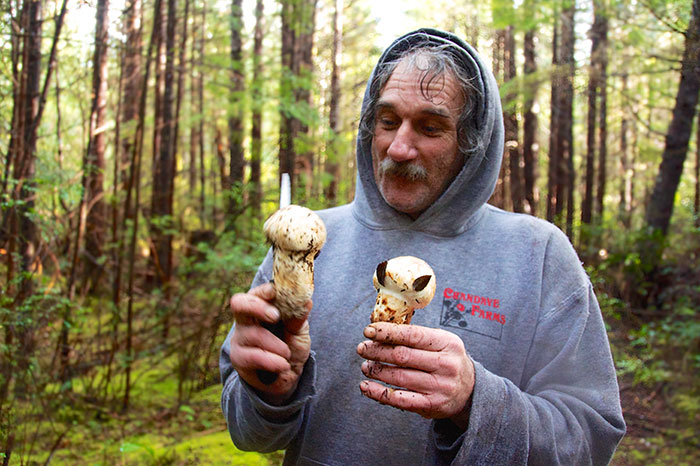 Doug Glen Carnell from The Mushroom Hunters