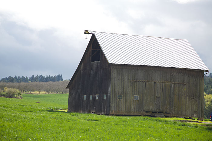 Barn on Farm Property