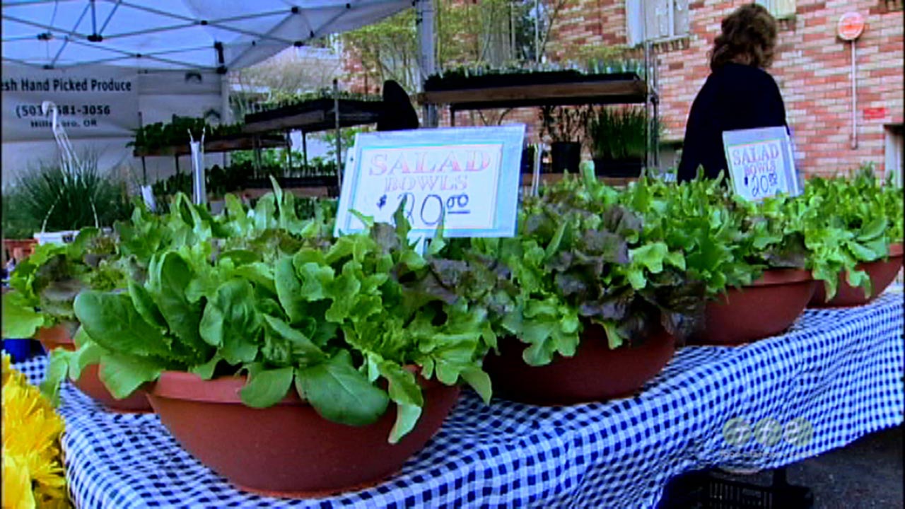 Container Gardening: Growing Salad Bowls (video)