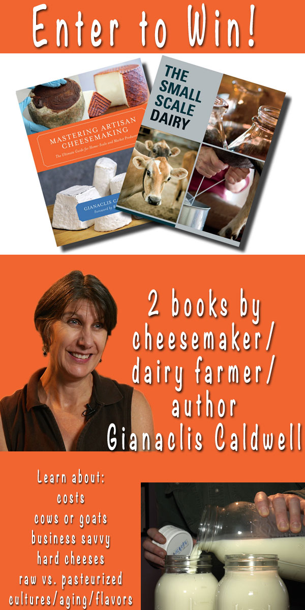 Giveaway: 2 Gianaclis Caldwell Books