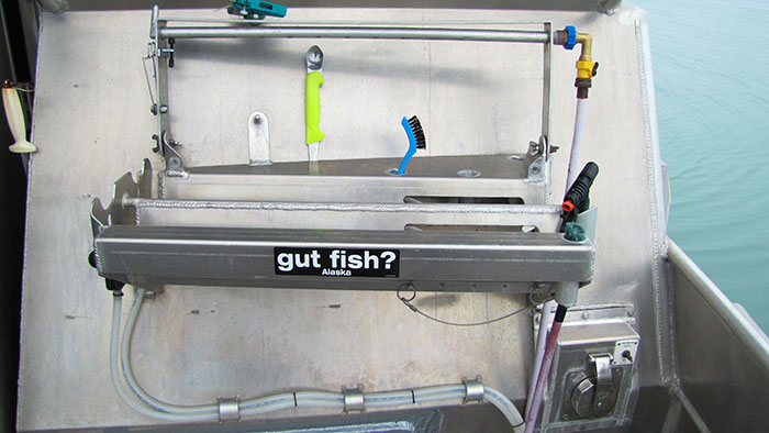 Fish Gutting Station
