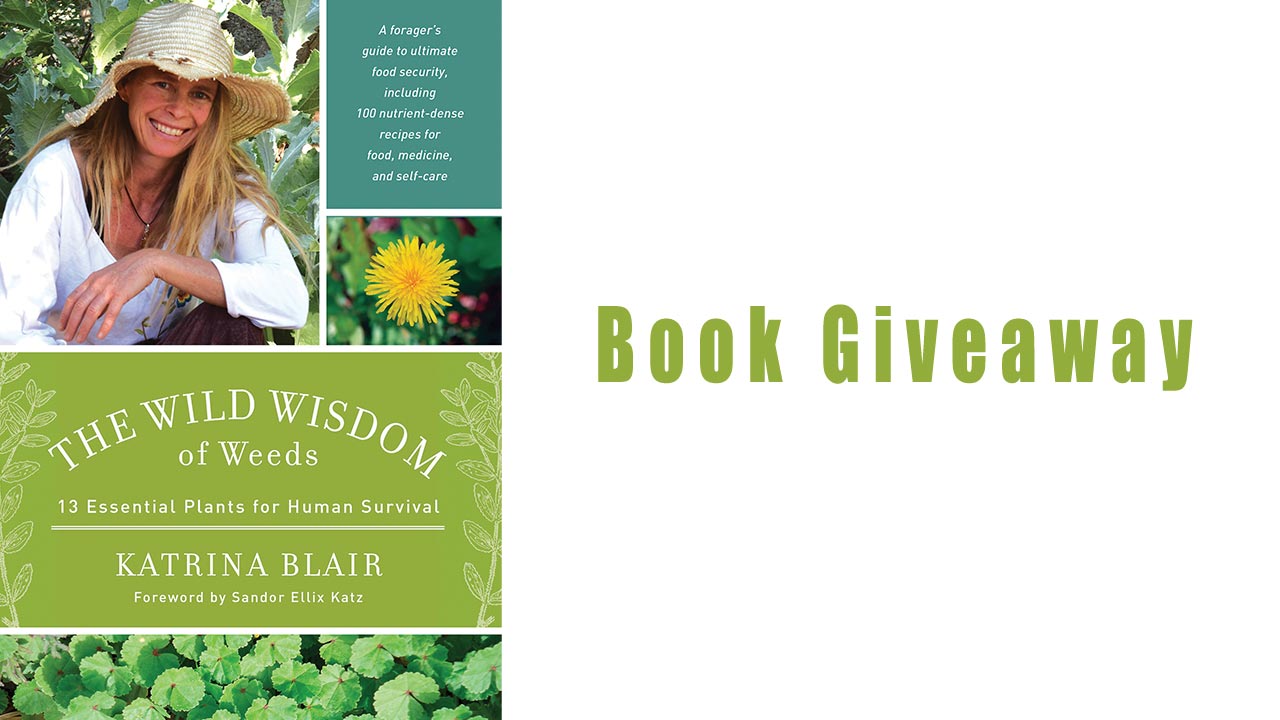 Giveaway: The Wild Wisdom of Weeds Book