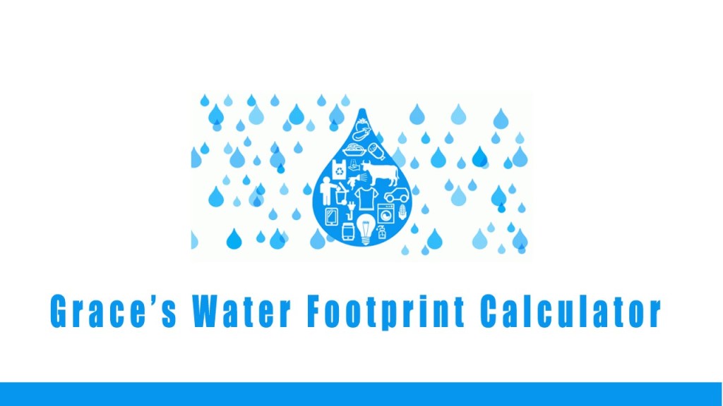 What is Your Water Footprint?