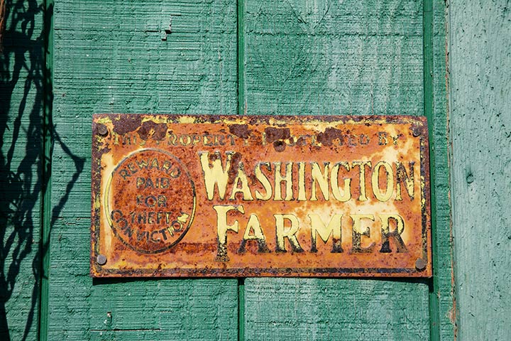 Nana Cardoon-Washington Farmer