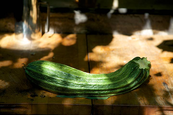 Nana Cardoon zucchini