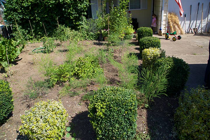 The Good Steward Garden-front-yard