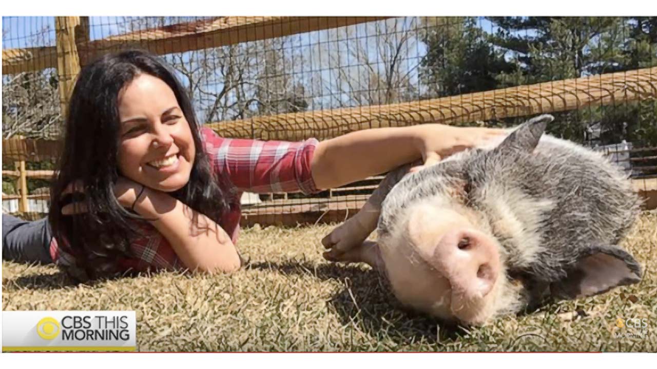 Tracey Stewart's Farm for Abused Farm Animals (video)