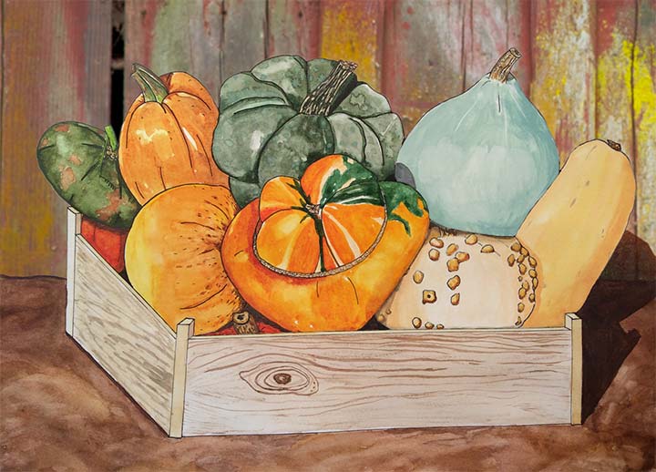 Pumpkin Harvest - Rebecca Gerendasy