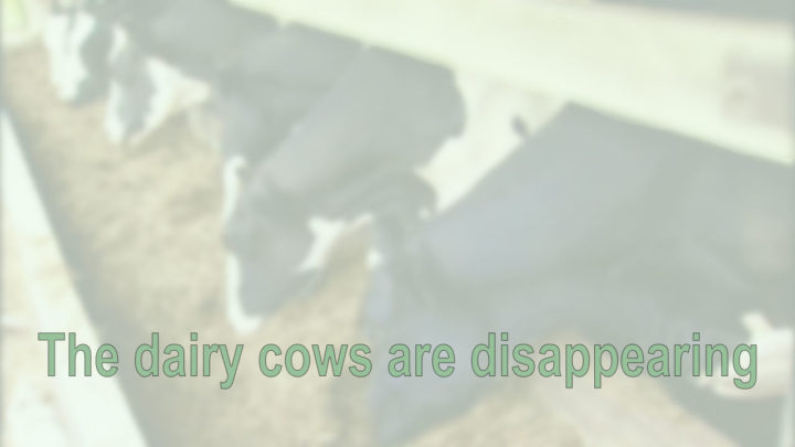 Why a top animal science expert is worried about the milk industry - Cooking Up a Story