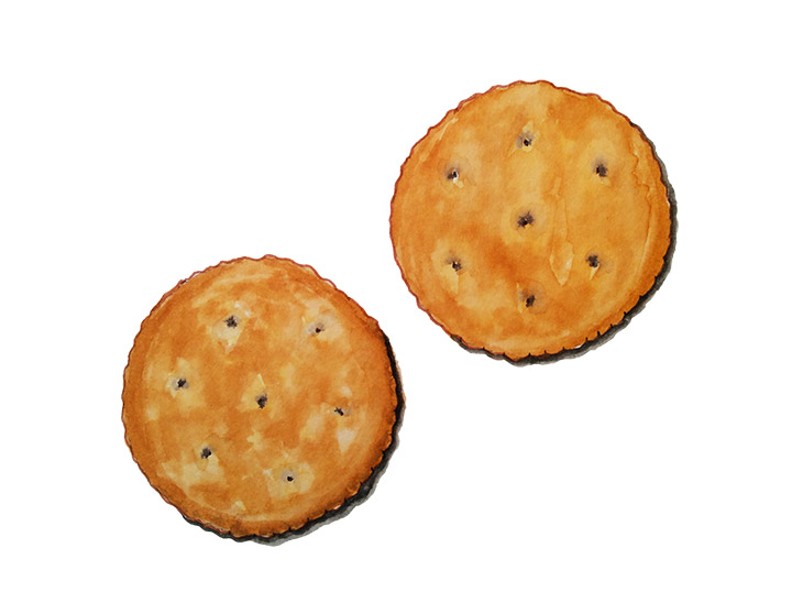Day 2 -Ritz Crackers - 100 Day Project - Rebecca Gerendasy