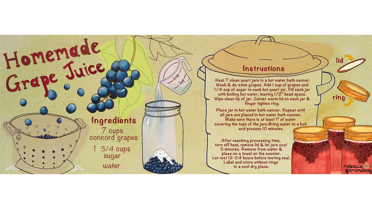 Homemade Grape Juice (with canning instructions)