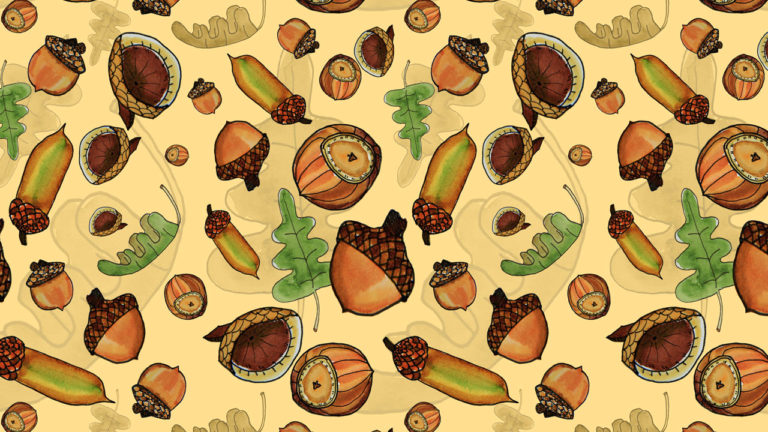 Fall Acorns Pattern - Cooking Up a Story