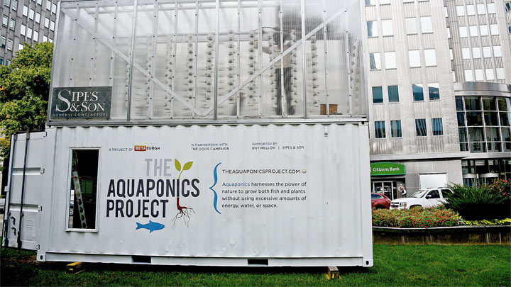 The Aquaponics Project - Cooking Up a Story
