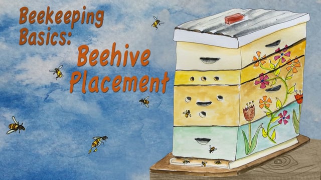 Beekeeping Basics- Beehive Placement -Mobile Minute - Cooking Up a Story