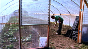 A New Family Farmer Inside His Greenhouse