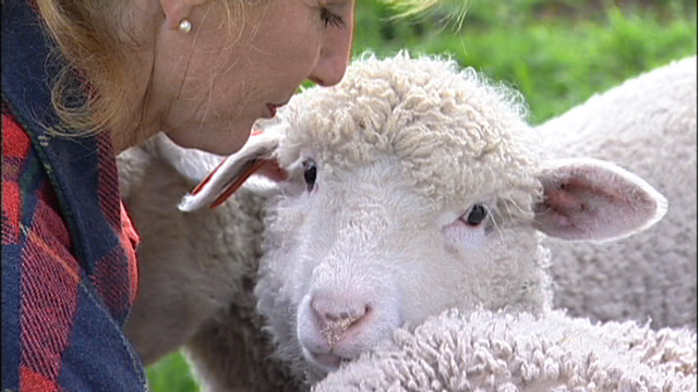 Jeannie Carver and her Lambs