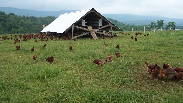A Mid-Atlantic Farmer's Perspective