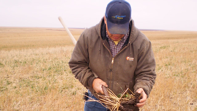 No Till Farmer: Steward of the Land