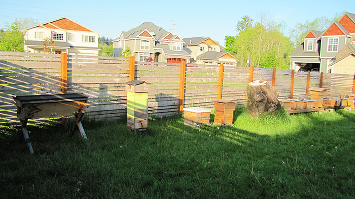 Tour De Hive Honeybee Tour (video)