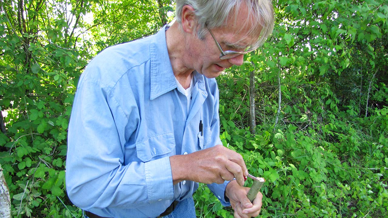 Lon Rombough: Grafting Fruit Trees (video)