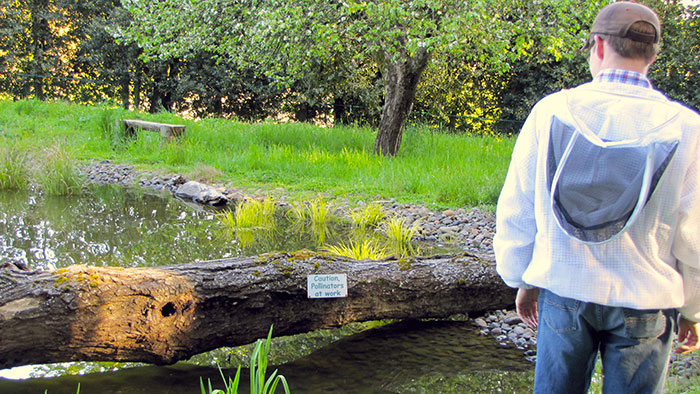 Matt Reed Surveying Wild Honeybee Nest