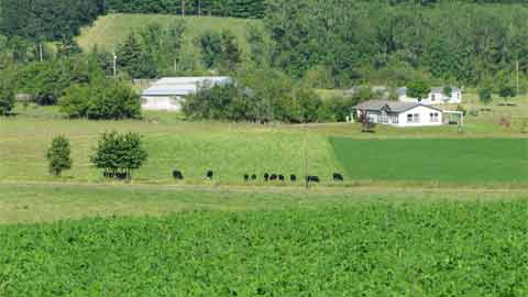 The Future Of Small Family Farms