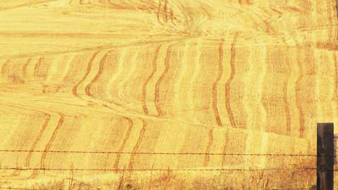 From USDA Secretary Tom Vilsack: A Failure to Communicate