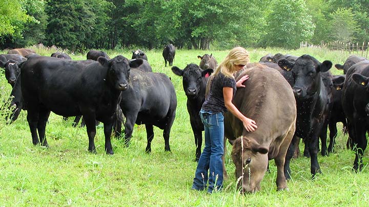 Tracy Baker-The Gleason Ranch