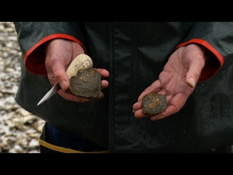 A 4th Generation Oyster Fisherman, and Early Ties to Oyster Industry