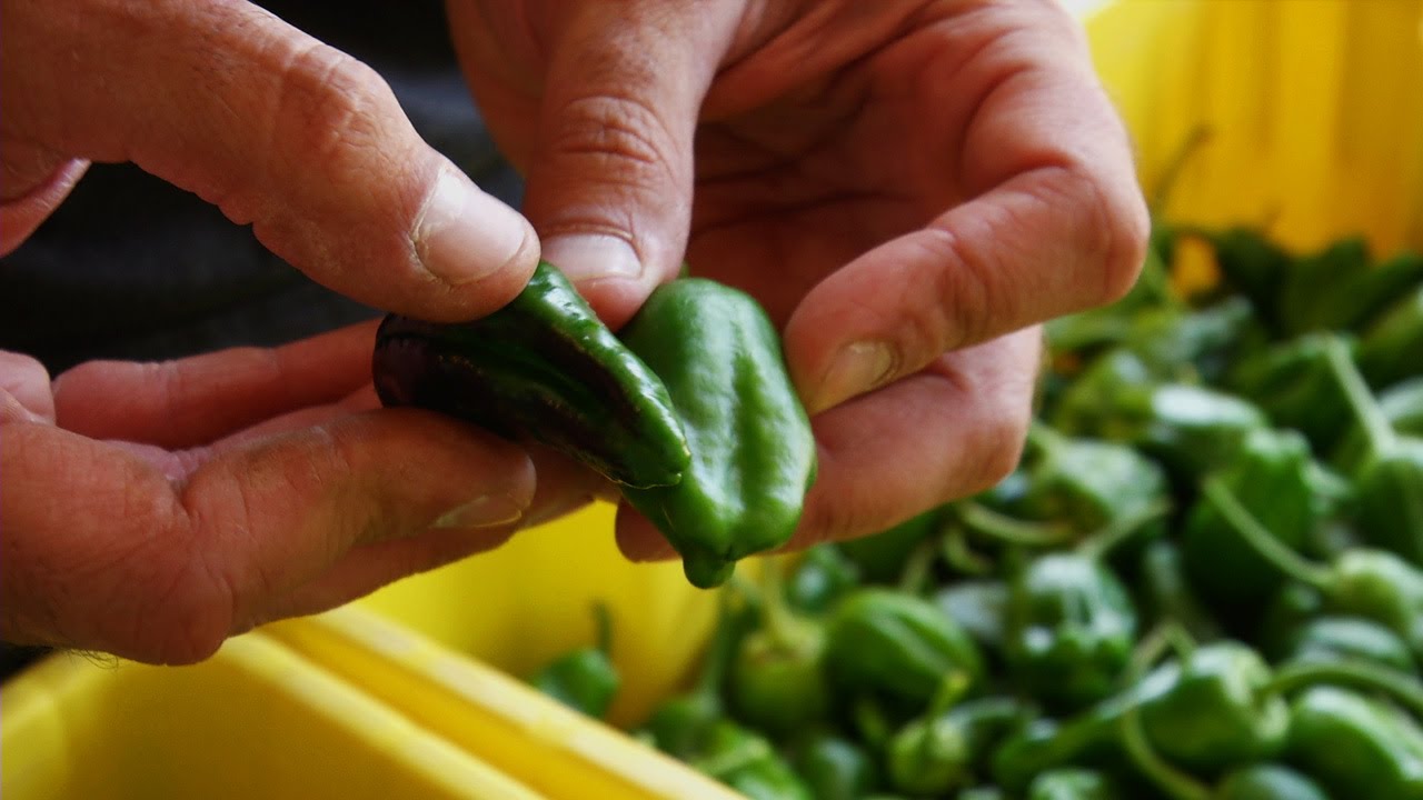 Peppers: A Love of Spanish Food and Culture