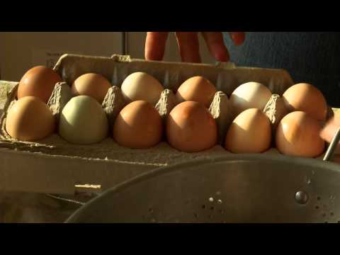 The Wonder of Farm Fresh Eggs (video)