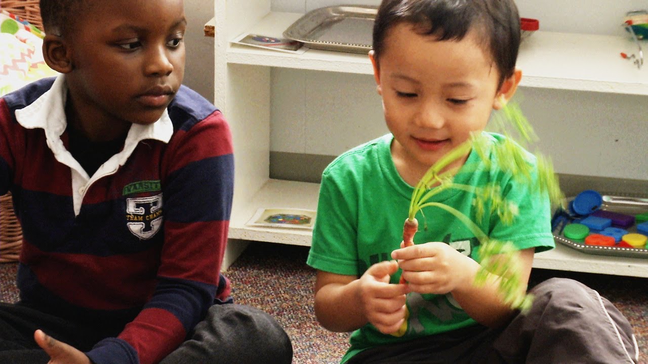 A Critical Head Start for Pre-Schoolers: Eating Healthy Foods –
video