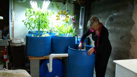 Aquaponics