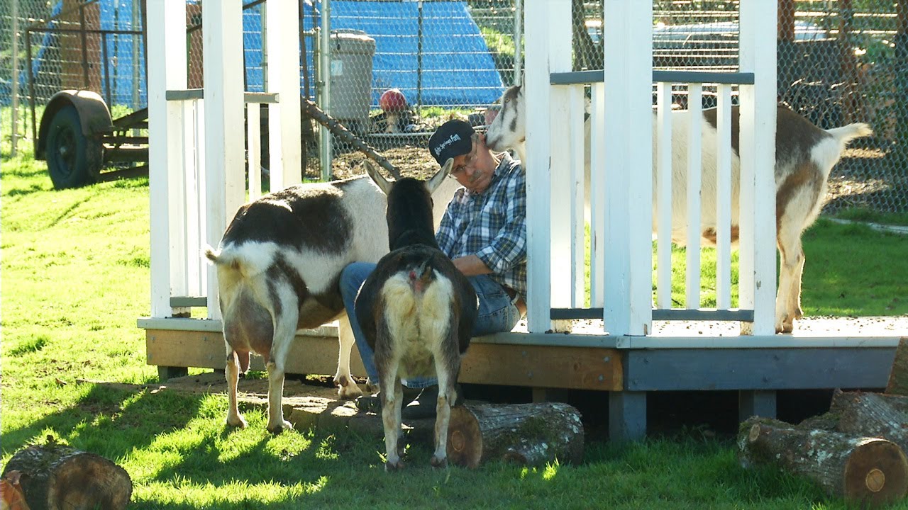 An Urban Goat Farm: Abita Springs Farm